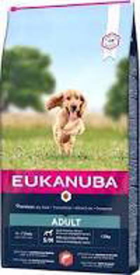 Picture of Eukanuba Adult Small/Medium Breed Salmon & Barley - 12kg