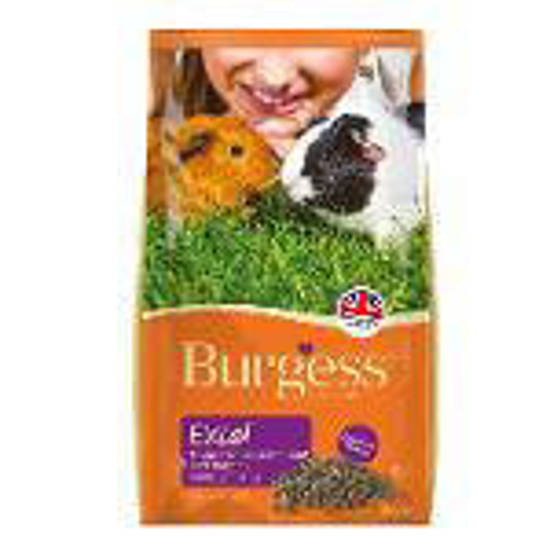 Picture of Excel Guinea Pig Blackcurrant & Oregano - 4 x 2kg