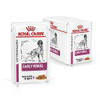 Picture of Royal Canin RCVHN Canine Early Renal Pouches - 48 x 100g