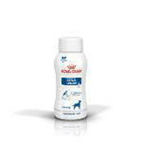 Picture of ROYAL CANIN® Renal Liquid Adult Wet Dog Food 3 x 200ml